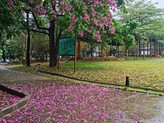 -南丹山森林王国