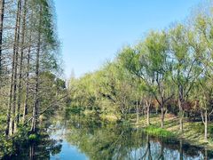 -昆山城市生态森林公园