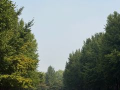 -玲珑塔公园