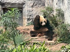 -石排湾郊野公园