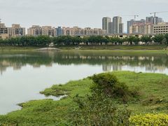 -风云岭森林公园