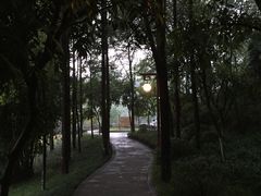 公园步道-重庆彩云湖湿地公园