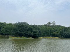 -番禺大夫山森林公园