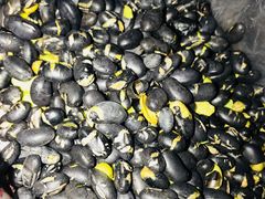 -干果张(皂君庙店)