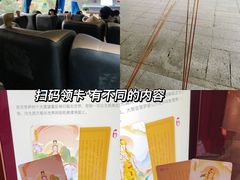 -深圳仙湖植物园-停车场