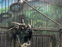 -西安秦岭野生动物园