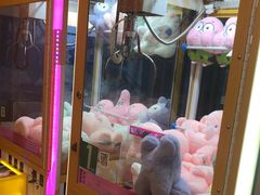 -不可思议减压馆·解压博物馆·摔碗发泄·团建定制