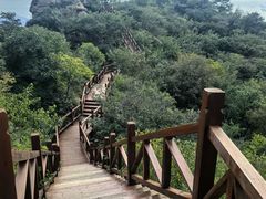 -大岭沟猕猴桃谷风景区