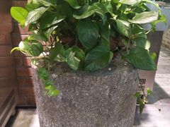 大堂-盐汪子杂鱼馆(大港店)