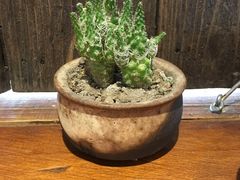 -阿木舂记·特色小吃(平江路店)