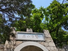 -北京鹫峰国家森林公园