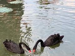 -董永七仙女文化园
