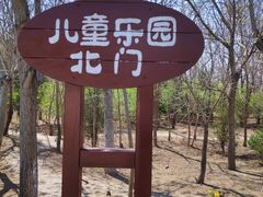-塘沽森林公园
