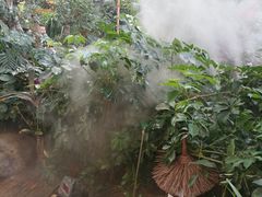 -郑州银基黄帝宫御温泉