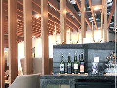 -虹桥机场国航贵宾室v8