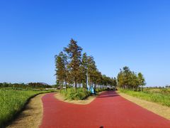 -春花秋色城市公园