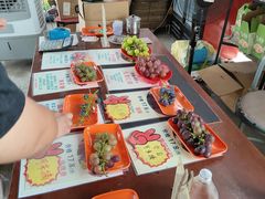 -马陆小张葡萄园农家乐