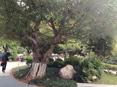 -广西大学(大学东路校区)