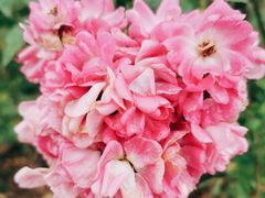 -UNIUNI(凯瑟琳广场店)