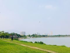 -飞来湖湿地公园