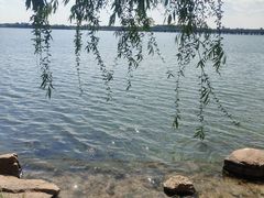 -丁香湖公园