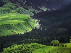 -新疆那拉提国家旅游度假区