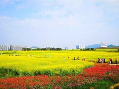 -光明小镇欢乐田园