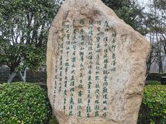 -合肥滨湖国家森林公园