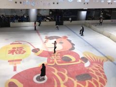 -TheRink大零溜冰场(IFS国金中心店)