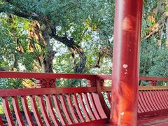 -乌山风景区