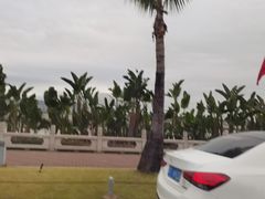 -野狸岛