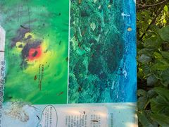 -海口火山口国家地质公园