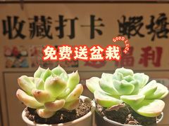 -蝦塘·中国餐馆(城墙南马道巷店)