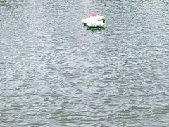 -龙口南山旅游景区