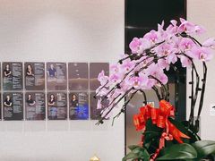 -TSK齿科德申会口腔门诊·联洋诊所
