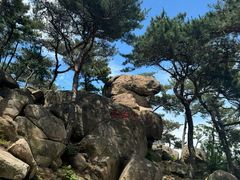 -崂山仰口游览区