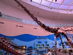 -陕西自然博物馆