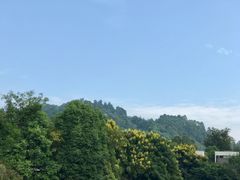 -知美术馆