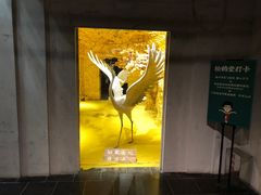 门面-和平菓局(王府井店)