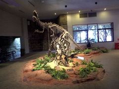 -自贡恐龙博物馆