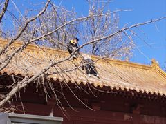 -元大都城垣遗址公园