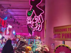 -BIG PINK大粉娃娃机主题馆(圆融星座店)