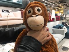 -宜家家居(哈尔滨商场店)