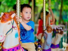 -美的鹭湖探索王国