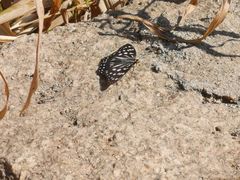 -碓臼峪自然风景区