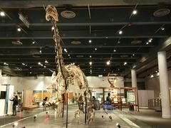 -香港科学馆