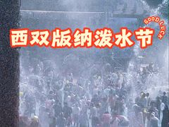 -西双版纳傣族园