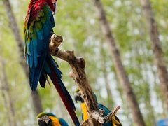 -北京野生动物园