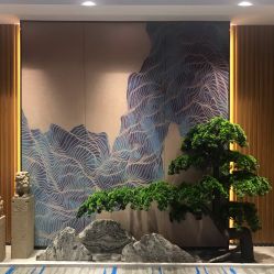 -MJ skin care国际皮肤管理中心