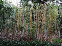 -天目湖御水温泉·度假酒店